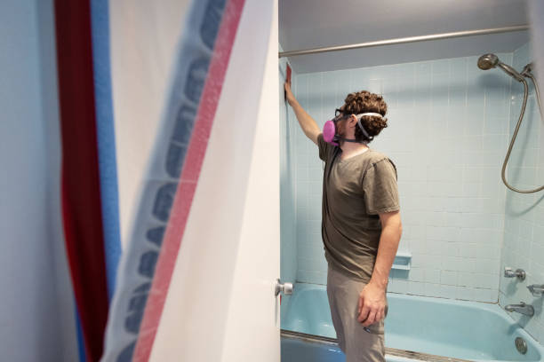 Best Basement Mold Removal  in Kahuku, HI